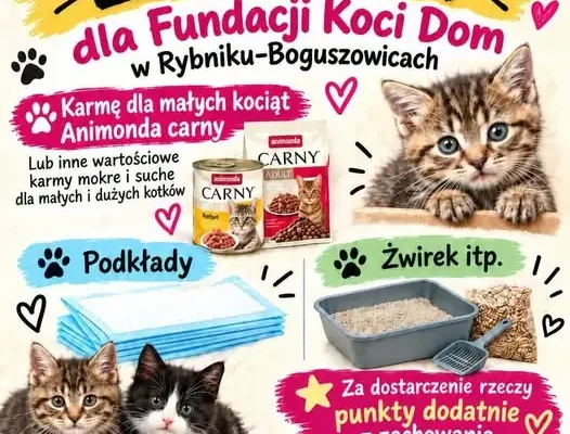 Zbiórka dla Fundacji „Koci Dom” w Rybniku-Boguszowicach
