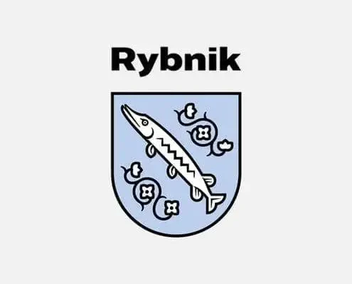 Nawałnica nad Rybnikiem: gradobicie, zerwane linie i powalone drzewa
