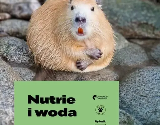 Sztuczna rzeka i basen w azylu dla nutrii w Rybniku – luksus czy konieczność?