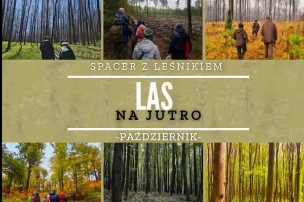 Leśny spacer „Las na jutro” w Rybniku – zapisy tylko do 20 osób