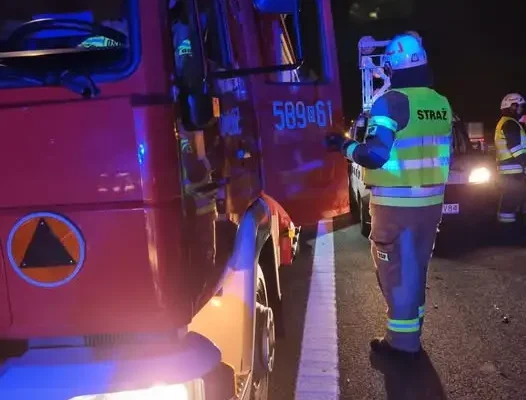 Kolizja z sarną na autostradzie A1 w rejonie Żor. Interweniowały służby
