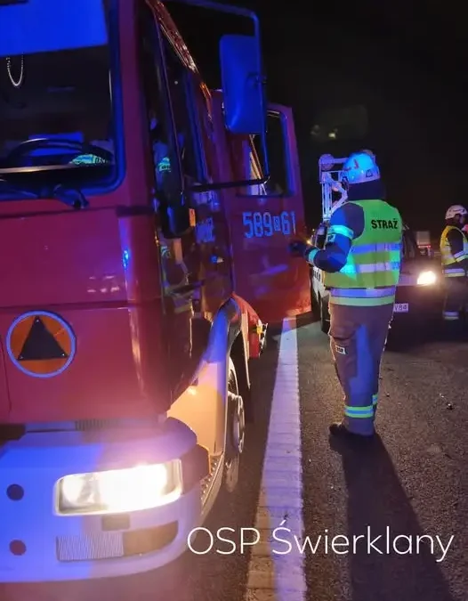 Kolizja z sarną na autostradzie A1 w rejonie Żor. Interweniowały służby