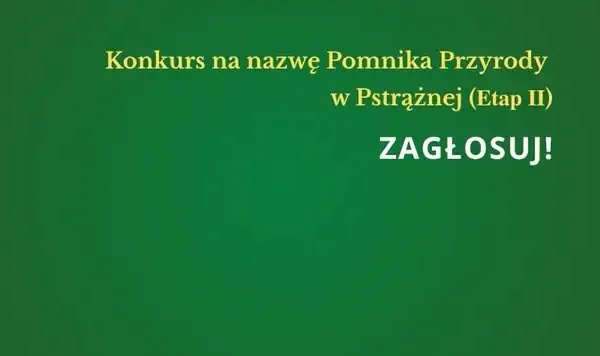 Mieszkańcy gminy Lyski wybiorą imię dla dębu – pomnika przyrody w Pstrążnej