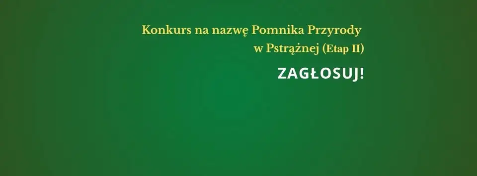 Mieszkańcy gminy Lyski wybiorą imię dla dębu – pomnika przyrody w Pstrążnej
