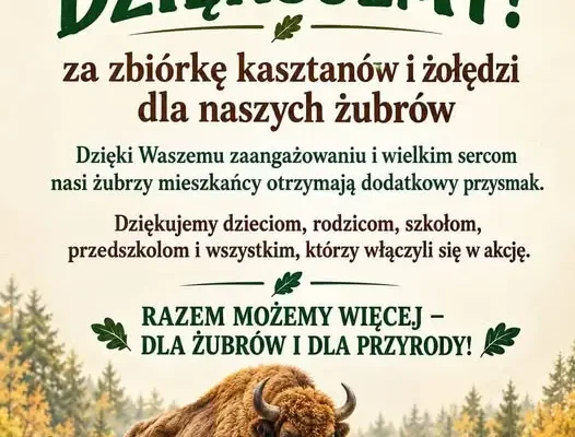 Mieszkańcy regionu rybnickiego zebrali kasztany i żołędzie dla żubrów