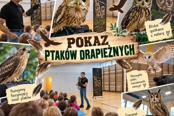 Sowy z bliska – niezwykła lekcja przyrody w szkole