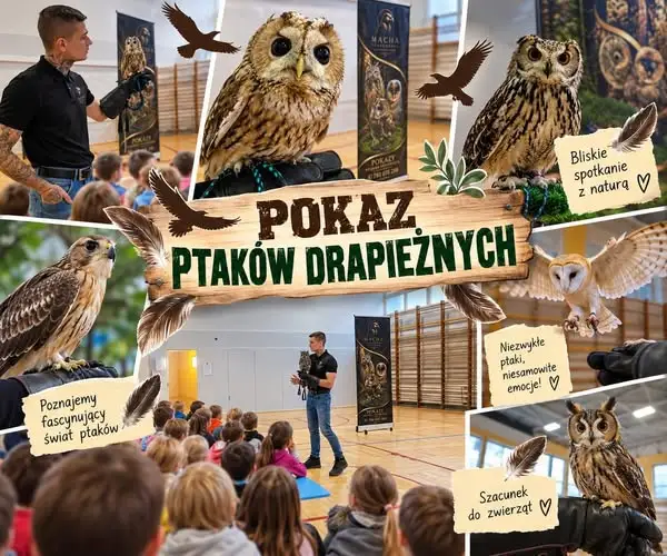 Sowy z bliska – niezwykła lekcja przyrody w szkole