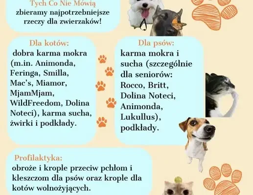 Szkolne koło wolontariatu organizuje zbiórkę dla zwierząt z Fundacji „Jestem Głosem”