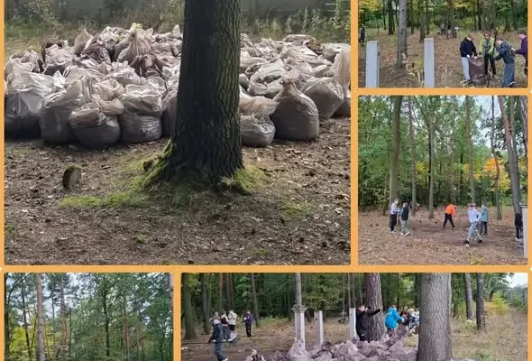 Uczniowie z Rybnika posprzątali zapomniany cmentarz przed Wszystkimi Świętymi